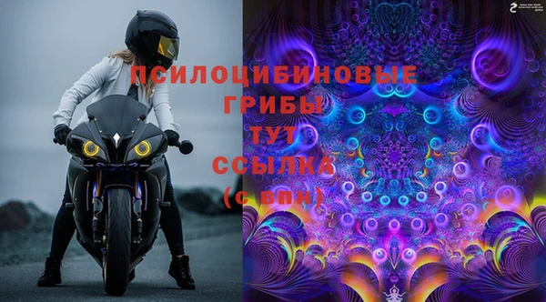 стаф Волосово