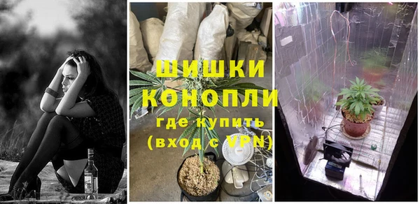 стаф Волосово