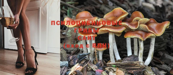 ешки Волоколамск