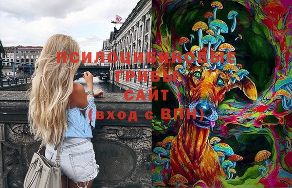 стаф Волосово