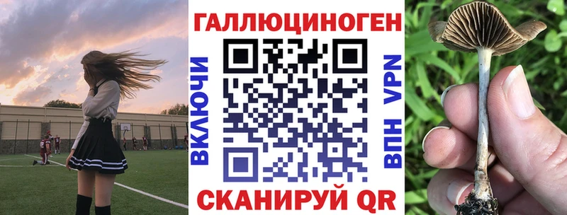 площадка как зайти  Назарово  Галлюциногенные грибы Magic Shrooms  как найти закладки 