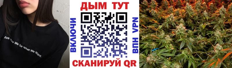 Бошки Шишки гибрид  Назарово 